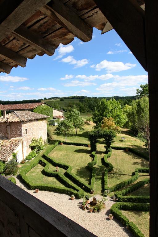 Chateau De Mayragues Castelnau-de-Montmiral ภายนอก รูปภาพ